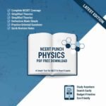 NCERT Punch Physics PDF